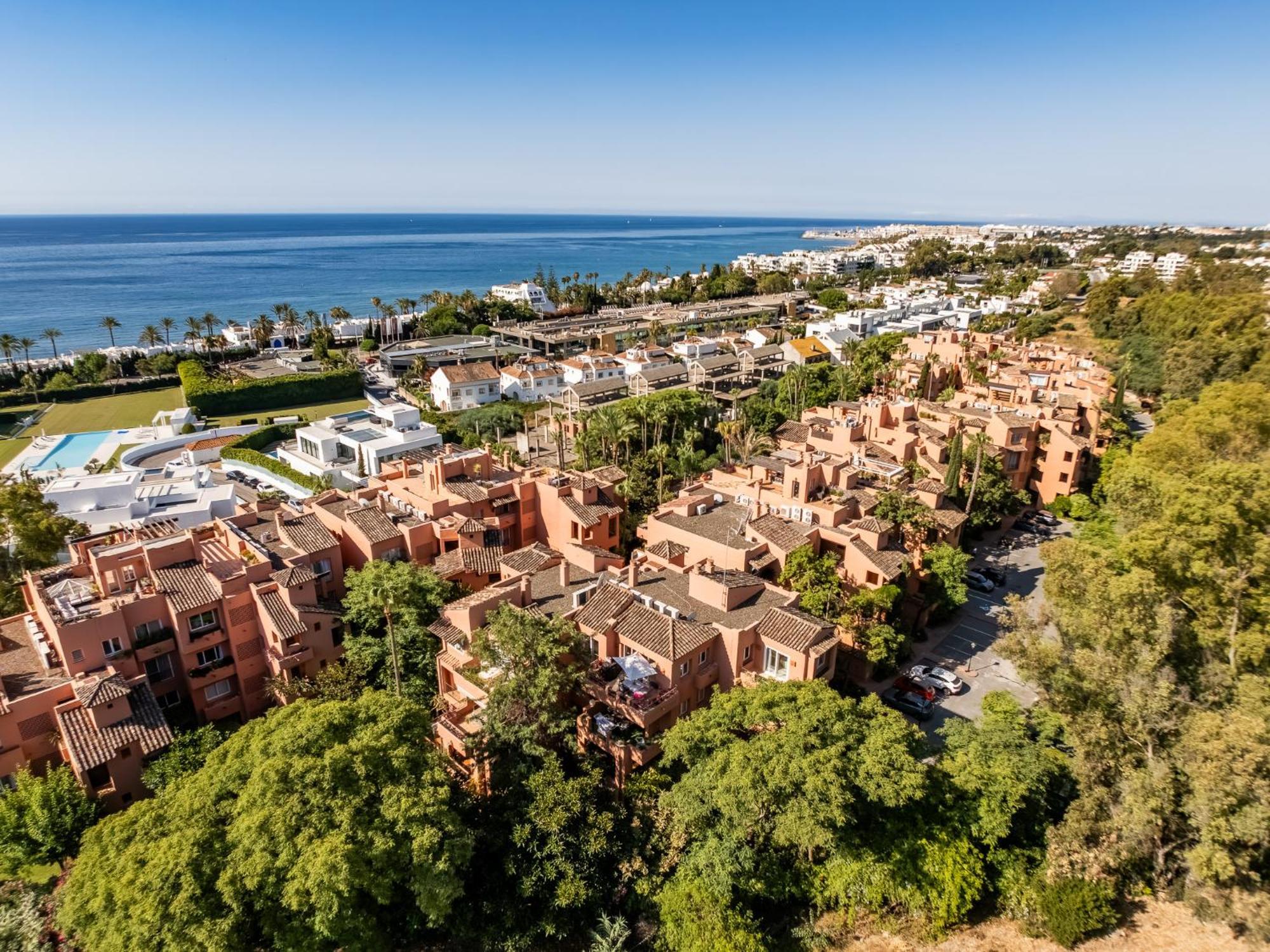 El Oasis De With Sea View *